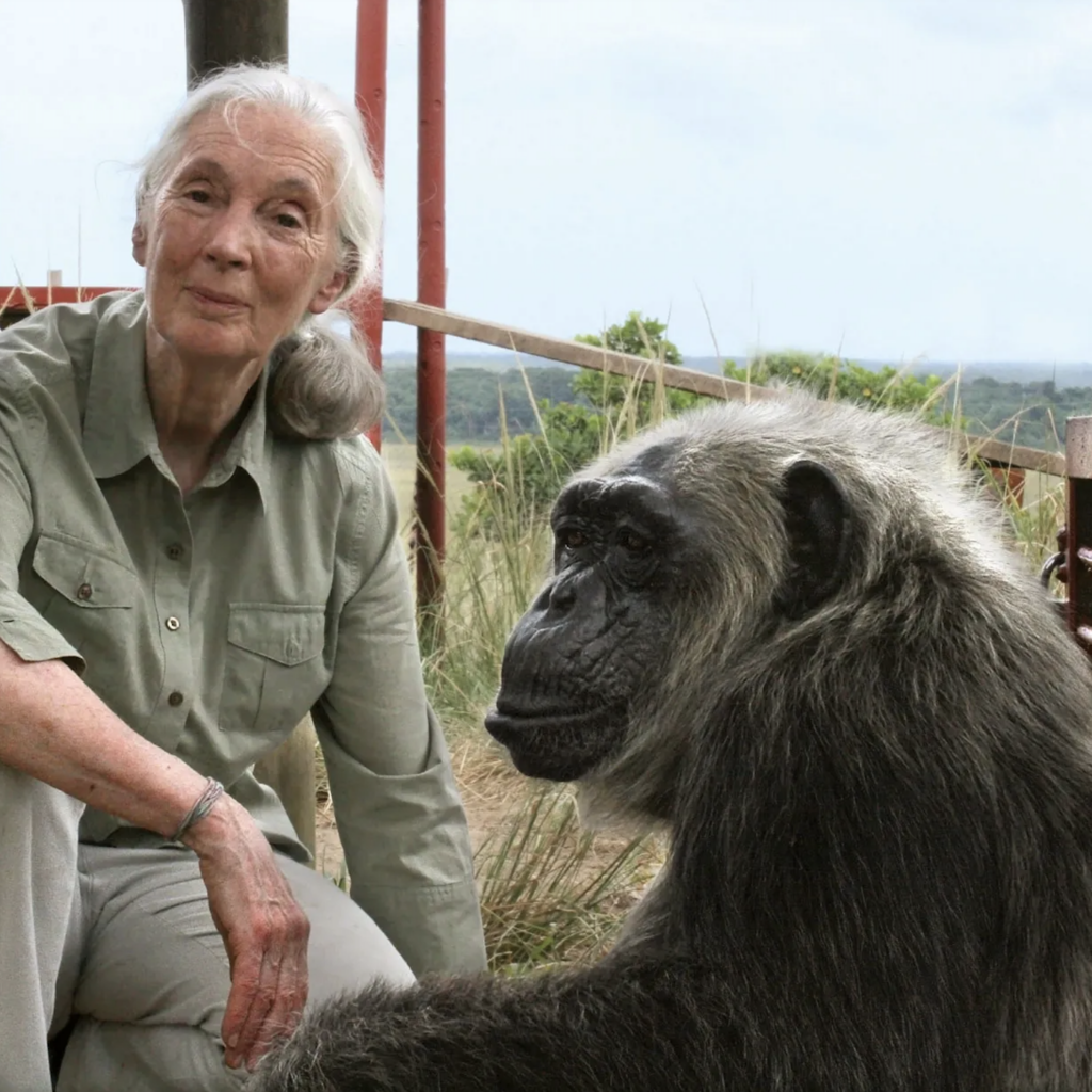 Jane Goodall - Lua em Sagitário